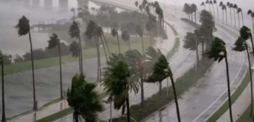 المركز الوطني الأمريكي : العاصفة المدارية بيريل تتحول إلى إعصار